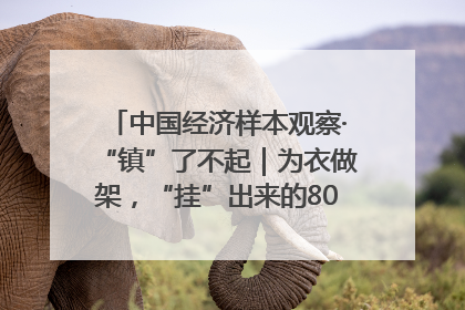 中国经济样本观察·“镇”了不起｜为衣做架，“挂”出来的80亿元“衣架产业”