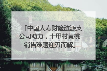 中国人寿财险涟源支公司助力，十甲村黄桃销售难题迎刃而解