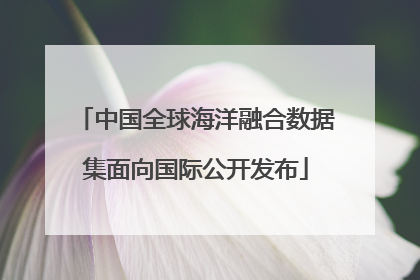 中国全球海洋融合数据集面向国际公开发布