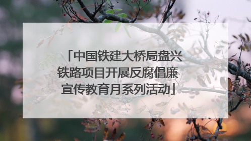 中国铁建大桥局盘兴铁路项目开展反腐倡廉宣传教育月系列活动