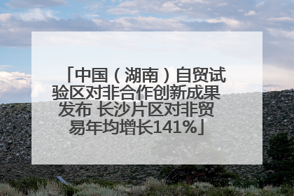 中国（湖南）自贸试验区对非合作创新成果发布 长沙片区对非贸易年均增长141%