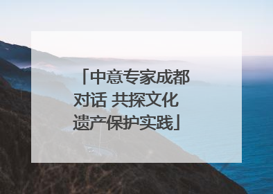 中意专家成都对话 共探文化遗产保护实践