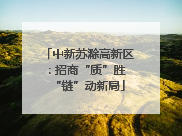 中新苏滁高新区：招商“质”胜 “链”动新局