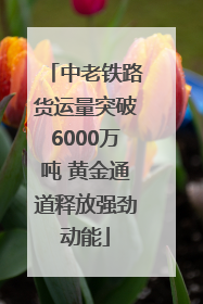 中老铁路货运量突破6000万吨 黄金通道释放强劲动能