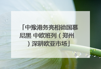 中豫港务亮相德国慕尼黑 中欧班列（郑州）深耕欧亚市场