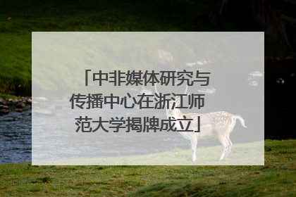 中非媒体研究与传播中心在浙江师范大学揭牌成立