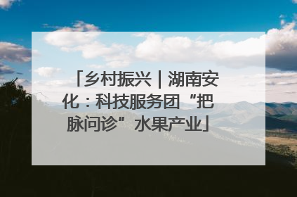 乡村振兴｜湖南安化：科技服务团“把脉问诊”水果产业