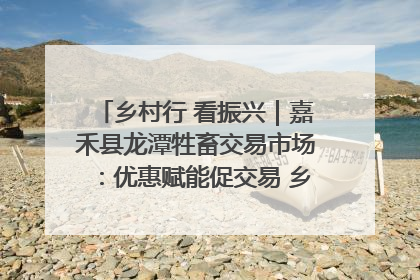 乡村行 看振兴｜嘉禾县龙潭牲畜交易市场：优惠赋能促交易 乡村振兴添动能