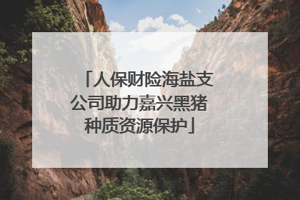 人保财险海盐支公司助力嘉兴黑猪种质资源保护