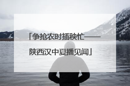 争抢农时插秧忙——陕西汉中夏播见闻