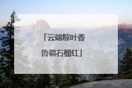 云端粽叶香 鲁疆石榴红