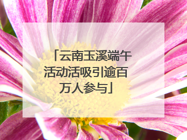 云南玉溪端午活动活吸引逾百万人参与
