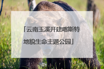 云南玉溪开建喀斯特地貌生命主题公园