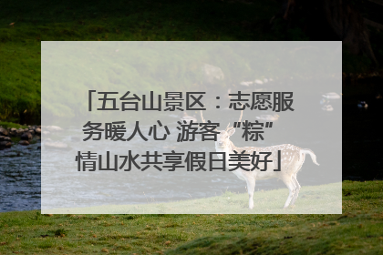 五台山景区：志愿服务暖人心 游客“粽”情山水共享假日美好