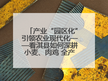 产业“园区化”引领农业现代化——看淇县如何深耕小麦、肉鸡 全产业链打造现代农业产业园