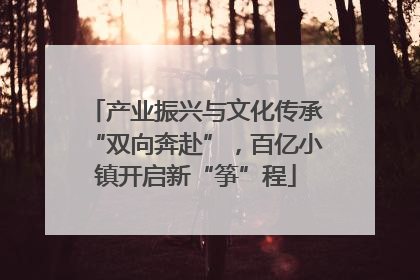 产业振兴与文化传承“双向奔赴”，百亿小镇开启新“筝”程