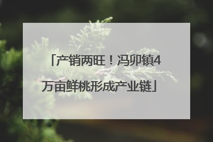 产销两旺！冯卯镇4万亩鲜桃形成产业链