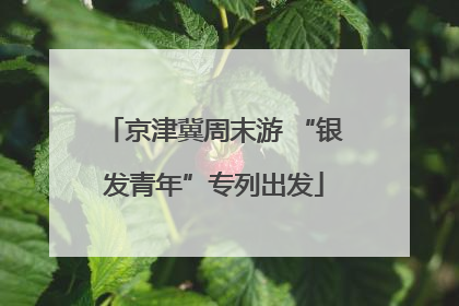 京津冀周末游 “银发青年”专列出发