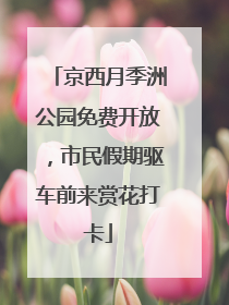 京西月季洲公园免费开放，市民假期驱车前来赏花打卡