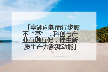 亭湖向新而行步履不“亭”：科创与产业互融互促，催生新质生产力澎湃动能