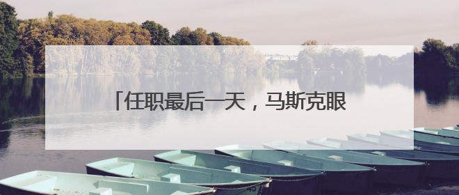 任职最后一天，马斯克眼角淤青出现在白宫……