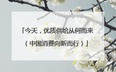 今天，优质供给从何而来（中国消费向新而行）