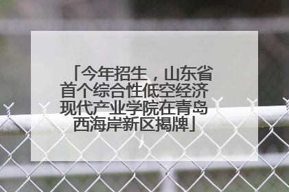 今年招生，山东省首个综合性低空经济现代产业学院在青岛西海岸新区揭牌