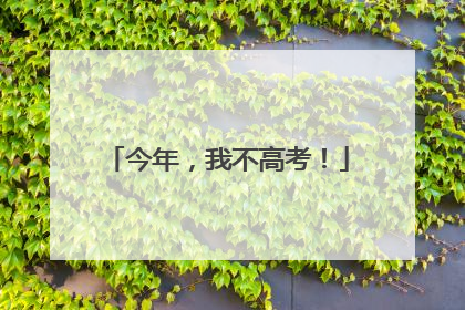 今年，我不高考！