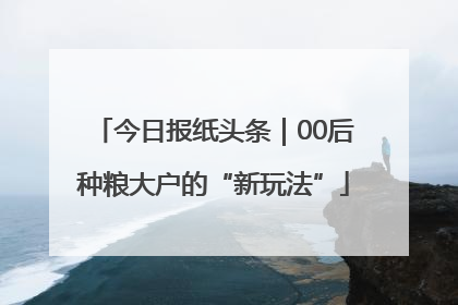今日报纸头条｜00后种粮大户的“新玩法”