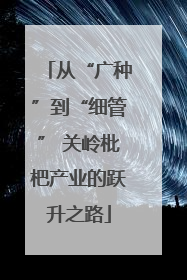 从“广种”到“细管” 关岭枇杷产业的跃升之路