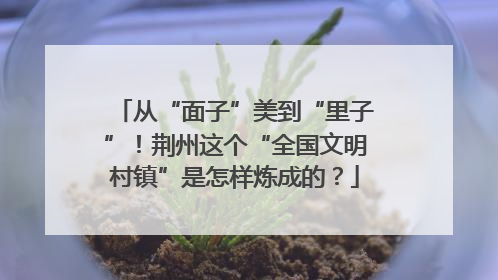 从“面子”美到“里子”！荆州这个“全国文明村镇”是怎样炼成的？