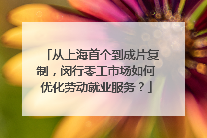 从上海首个到成片复制，闵行零工市场如何优化劳动就业服务？