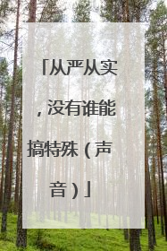 从严从实，没有谁能搞特殊（声音）