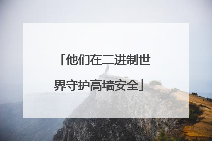 他们在二进制世界守护高墙安全