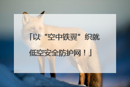 以“空中铁翼”织就低空安全防护网！
