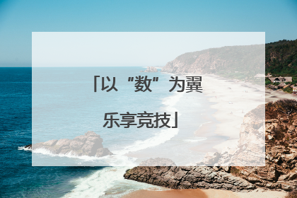 以“数”为翼 乐享竞技