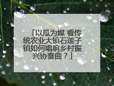 以瓜为媒 看传统农业大镇石莲子镇如何唱响乡村振兴协奏曲？