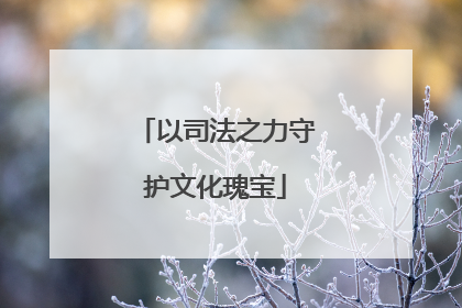 以司法之力守护文化瑰宝
