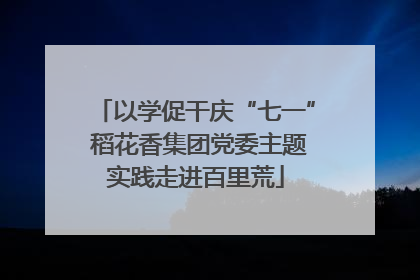 以学促干庆“七一” 稻花香集团党委主题实践走进百里荒
