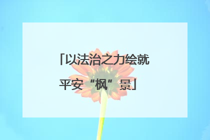 以法治之力绘就平安“枫”景