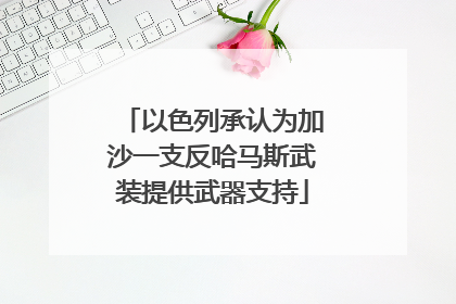 以色列承认为加沙一支反哈马斯武装提供武器支持