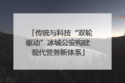 传统与科技“双轮驱动”冰城公安构建现代警务新体系