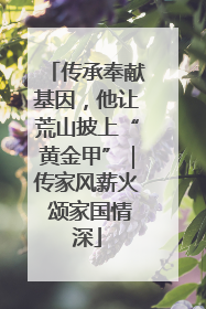 传承奉献基因，他让荒山披上“黄金甲”｜传家风薪火 颂家国情深