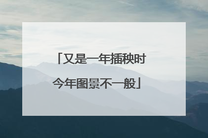 又是一年插秧时 今年图景不一般