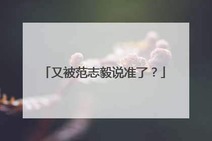 又被范志毅说准了？