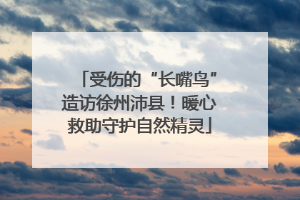 受伤的“长嘴鸟”造访徐州沛县！暖心救助守护自然精灵