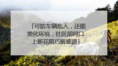 可防车辆乱入，还能美化环境，社区胡同口上新花箱巧解难题