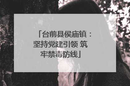 台前县侯庙镇：坚持党建引领 筑牢禁毒防线
