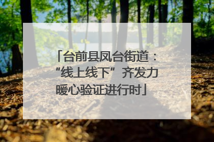台前县凤台街道：“线上线下”齐发力 暖心验证进行时