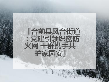 台前县凤台街道：党建引领织密防火网 干群携手共护家园安